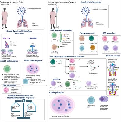 SARS-CoV-2 epitopes inform future vaccination strategies